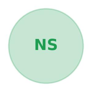 Noam Shazeer (placeholder)